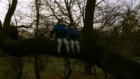Two boys sit on tilted tree trunk Stock Footage 99566481