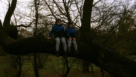 Two boys sit on tilted tree trunk Stock Footage 99566980