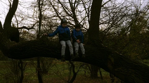 Two boys sit on tilted tree trunk Stock Footage 99568270