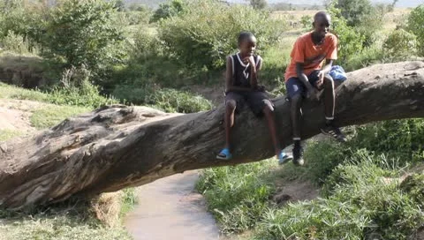 Two Boys Sitting On a Fallen Log Above a Stream in Africa. Stock Footage 10721509