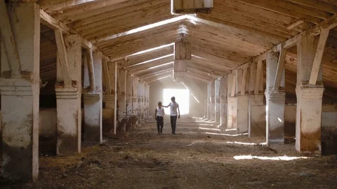 Two boys walk inside shed with rays of sunlight Stock-Footage 123330516