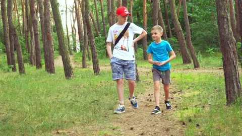 Two boys walking and talking in the woods with trees and green grass Stock Footage 136191858