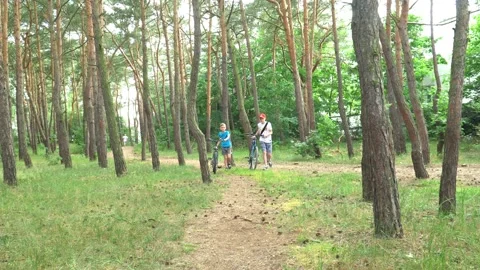 Two boys walking and talking in forest with bicycles during bright sunny day Stock Footage 136192534