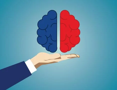 Two brain hemispheres. Business concept illustration. Vector flat Stock Illustration