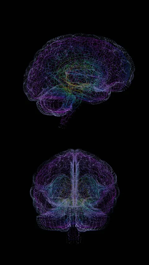 Two brain maps, one showing the different areas of the brain Stock Footage 309984140