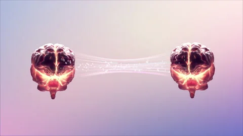 Two Brains Transferring Knowledge, Knowledge Transplantation Stock Footage 243555816