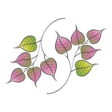 Two branch of bo leaf Stock Illustration