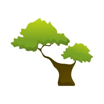 Two Branch Isolated Tree Plant Illustration Stock Illustration