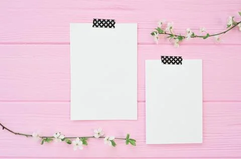 Two branches of white cherry flowers on pink wooden background with two she.. Stock Photos