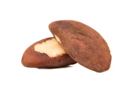 Two Brazil nuts Stock Photos