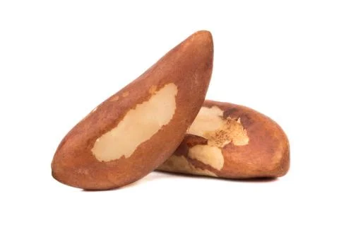 Two Brazil nuts Stock Photos