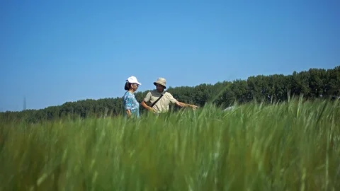 Two Breeders are on the Wheat Field. Stock Footage 101469930