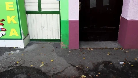 Two bright and happy building doors with colorful walls Stock Footage 93783254