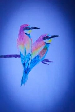 Two bright birdies Stock Illustration