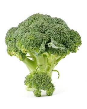 Two broccoli florets Stock Photos