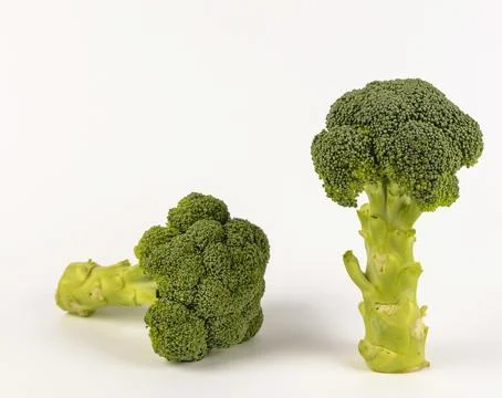 Two broccoli heads are isolated on a white background. 库存照片