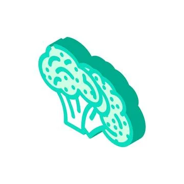 Two broccoli isometric icon vector illustration Stock Illustration