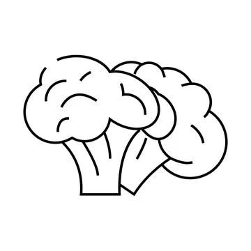 Two broccoli line icon vector illustration Stock Illustration