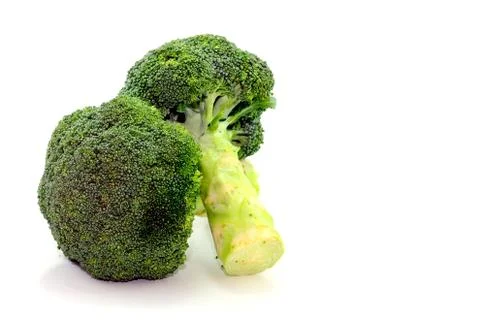Two broccoli stalks on white 写真素材