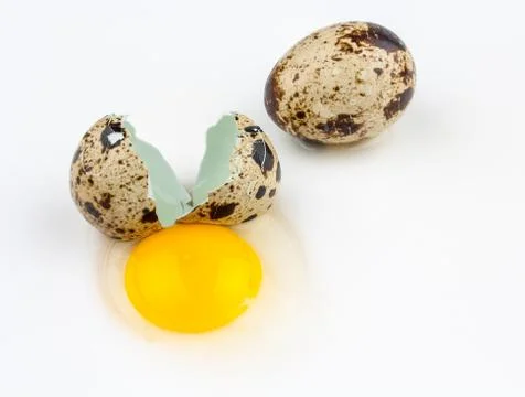 Two broken quail eggs on white background Stock Photos