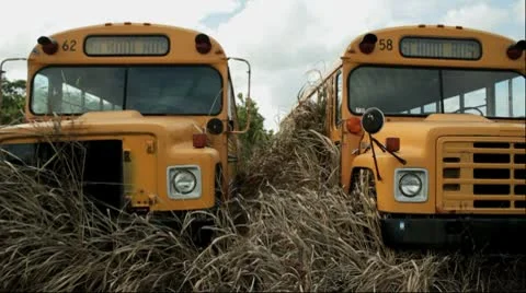 Two broken school bus Stock Footage 8912238