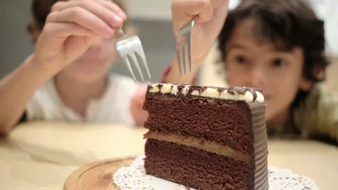 Two brothers 5 and 7 years old share chocolate cake celebration Stock Footage 252037011
