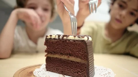 Two brothers 5 and 7 years old share chocolate cake celebration Stock Footage 252037018
