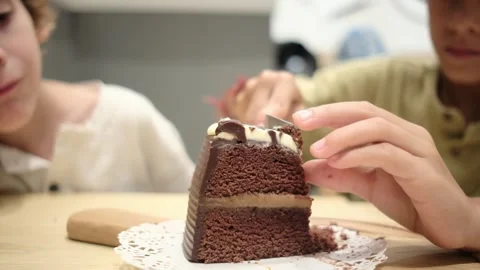 Two brothers 5 and 7 years old share chocolate cake celebration Stock Footage 252037087
