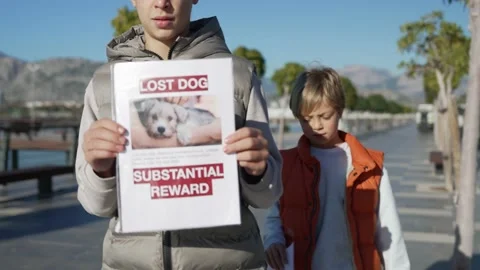 Two brothers are looking for a missing pet, putting up posters. Stock Footage 229162253