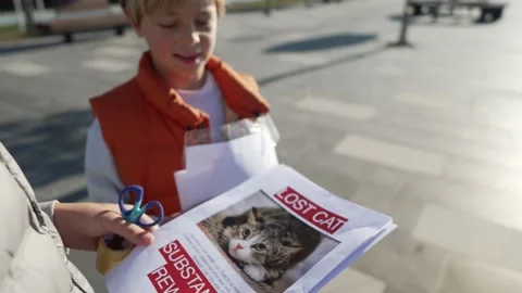 Two brothers are looking for a missing pet, putting up posters. Vídeos de archivo 229162443