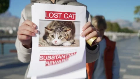 Two brothers are looking for a missing pet, putting up posters. Stock-Footage 229935637