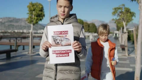 Two brothers are looking for a missing pet, putting up posters. Stock Footage 229935669