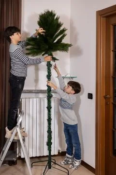 Two brothers assembling christmas tree in cozy home interior Stock Photos