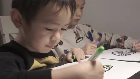 Two brothers drawing together Stock Footage 220960068