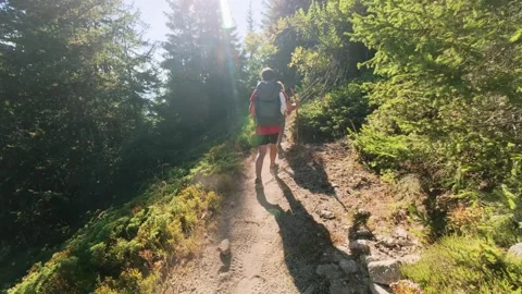 Two Brothers Hiking on Forest Trail with Backpacks in Sunbeams Outdoors Stock Footage 345156715