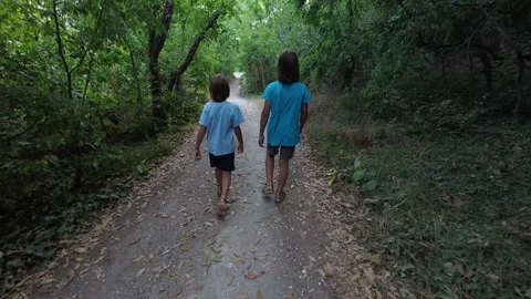 Two brothers walking together on forest path, siblings enjoying nature hike Stock Footage 316166353