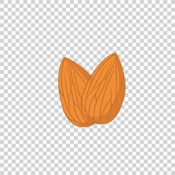 Two Brown Almond Nuts with Textured Skin Flat Illustration Stock Illustration