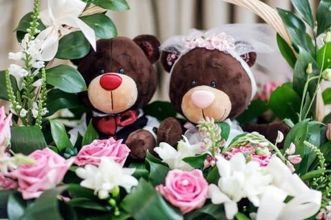 Two brown bear 스톡 사진