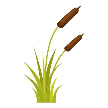 Two brown cattails growing in green grass Stock Illustration