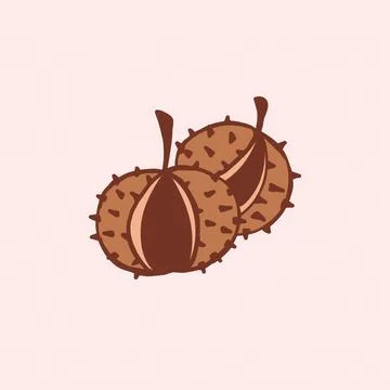 Two brown chestnuts with spiky shells on a light pink background Stock Illustration