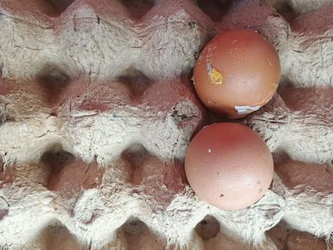 Two Brown Chicken Eggs on a Cardboard Carton Tray with One Cracked Stock Photos