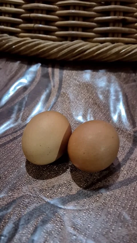 Two brown chicken eggs on a shiny textured tablecloth Stock Footage 337374468