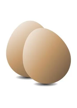 Two Brown Chicken Eggs on White Background Stock Illustration