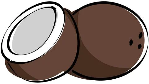 Two Brown Coconuts On White Background Illustration Stock Illustration