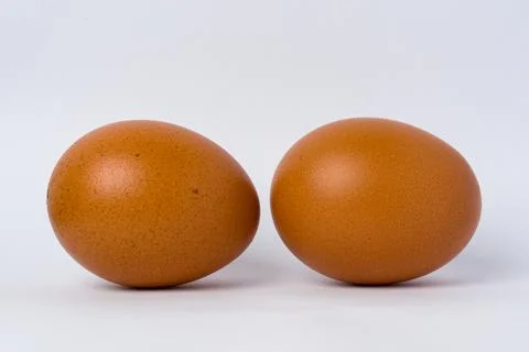 Two brown eggs rest on a plain white background Stock Photos