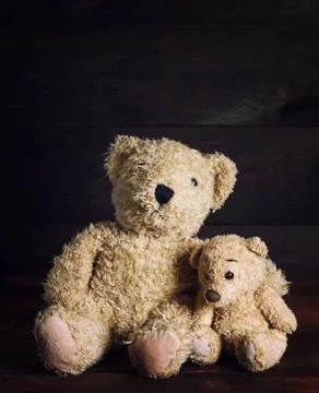 Two brown soft teddy bears are sitting Stock Photos