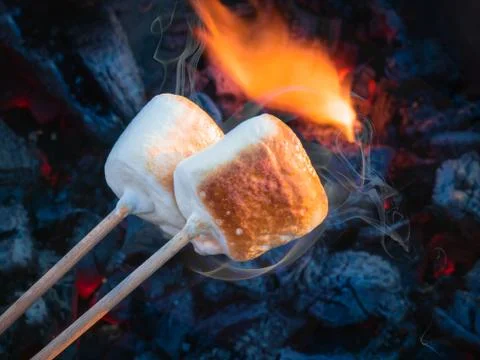 Two brown sweet marshmallows roasting over fire flames. Marshmallow on skewers Stock Photos