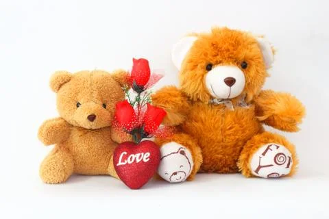 Two brown teddy bear with a red rose on a white background. 스톡 사진
