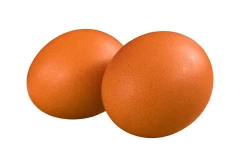 Two brown uncooked chicken eggs isolated on white background Stock-Fotos