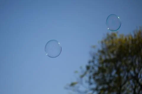 Two bubbles floating Stock Photos